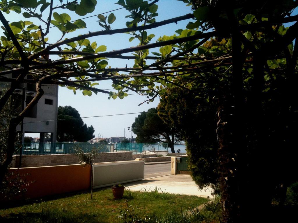 Guest house Vitalio 3*